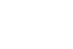 dsa_logo